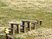 govaplast-play-evenwichtsparcours-hindernis-xylofoon-gp100k.jpg